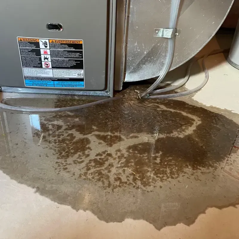 Appliance Leak Cleanup in Ashland, AL